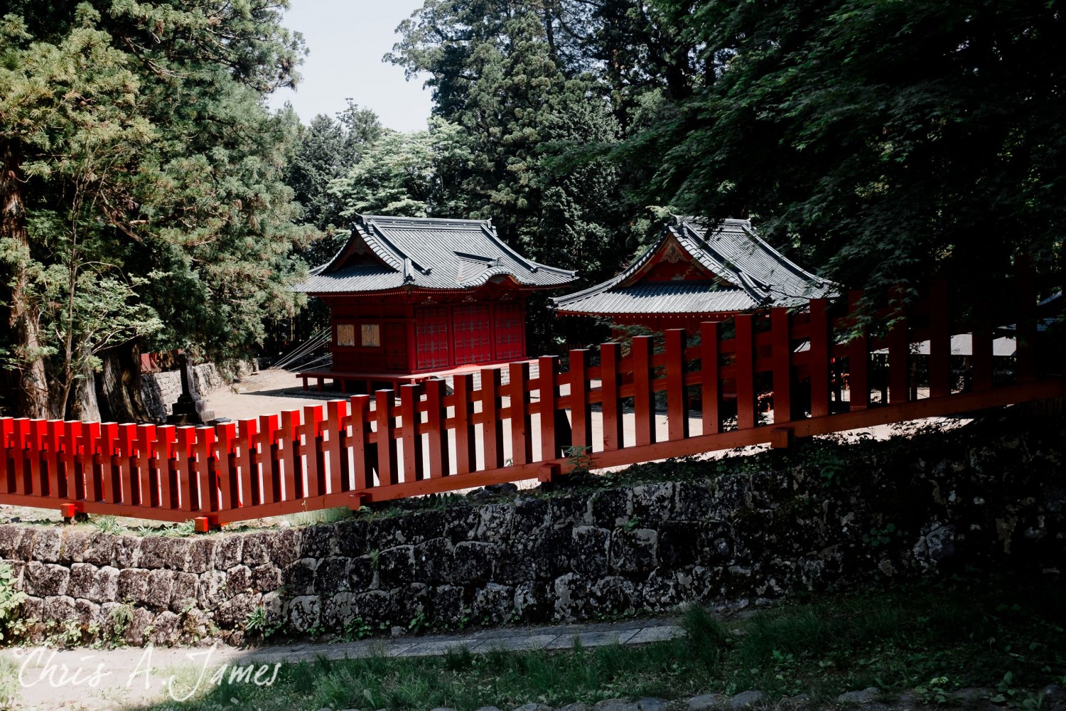 Nikko - Chris A James