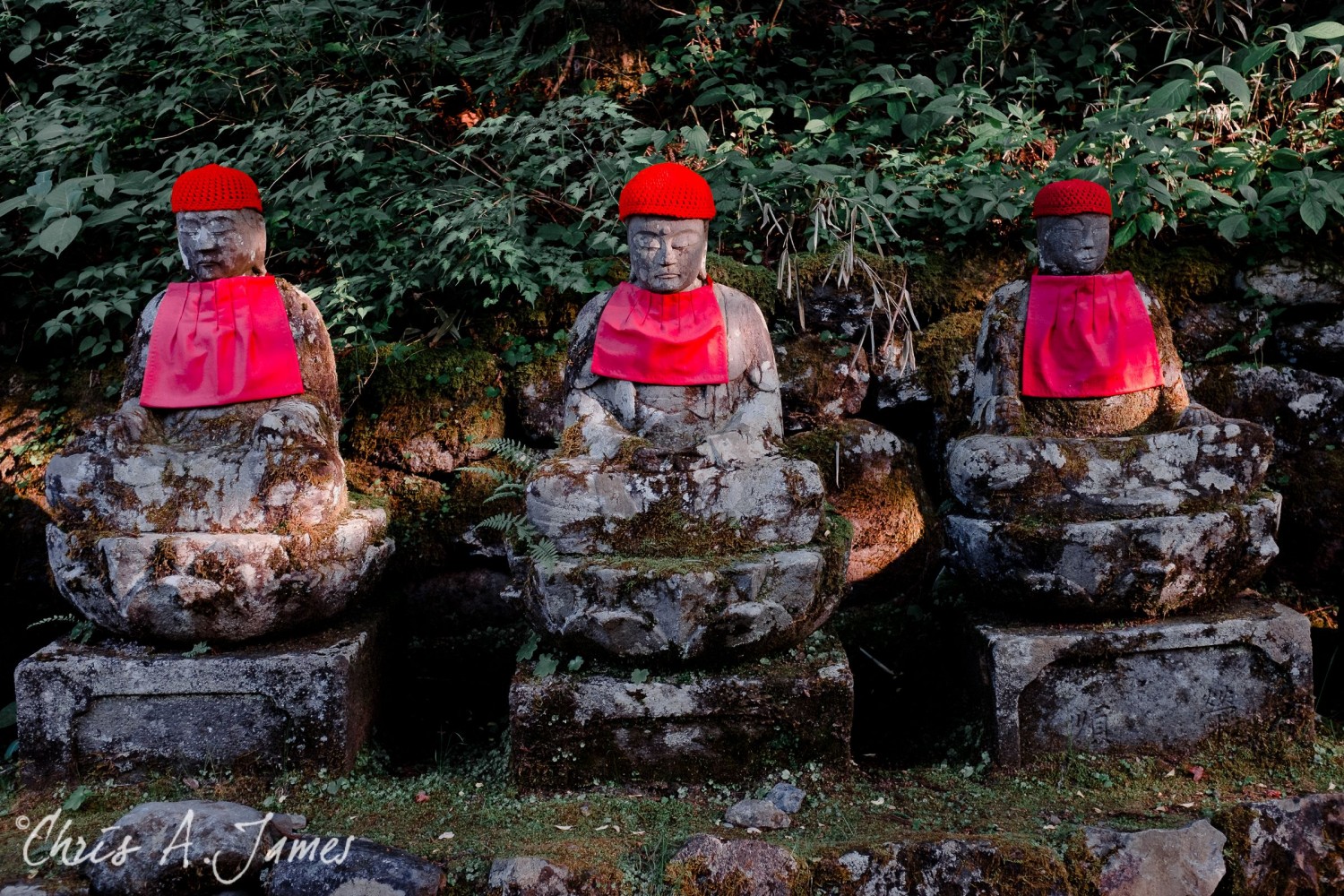 Nikko - Chris A James