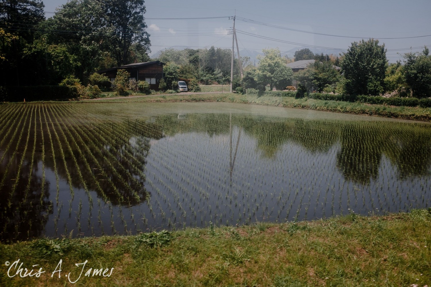 Nikko - Chris A James