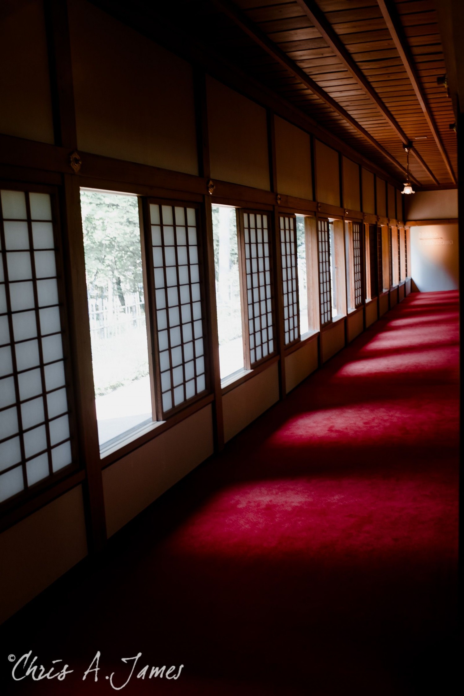 Nikko - Chris A James