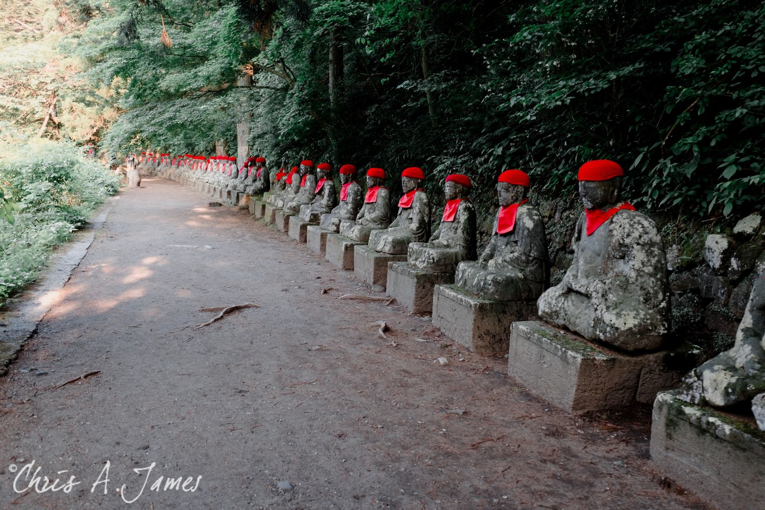 Nikko - Chris A James