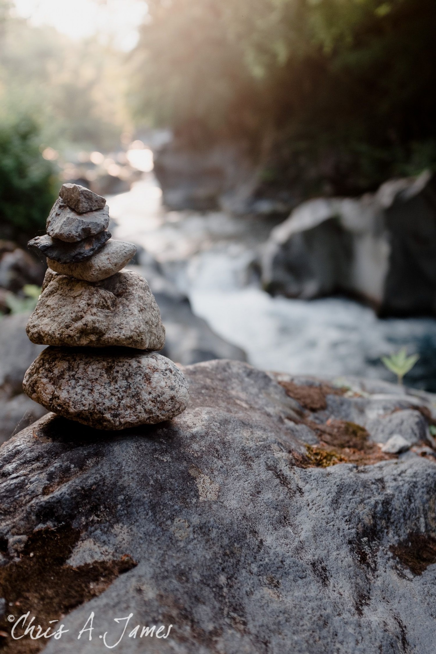 Nikko - Chris A James