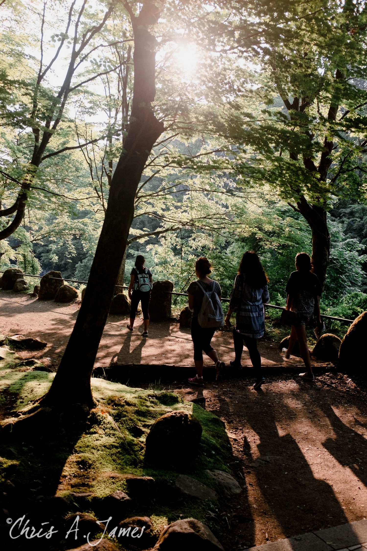 Nikko - Chris A James