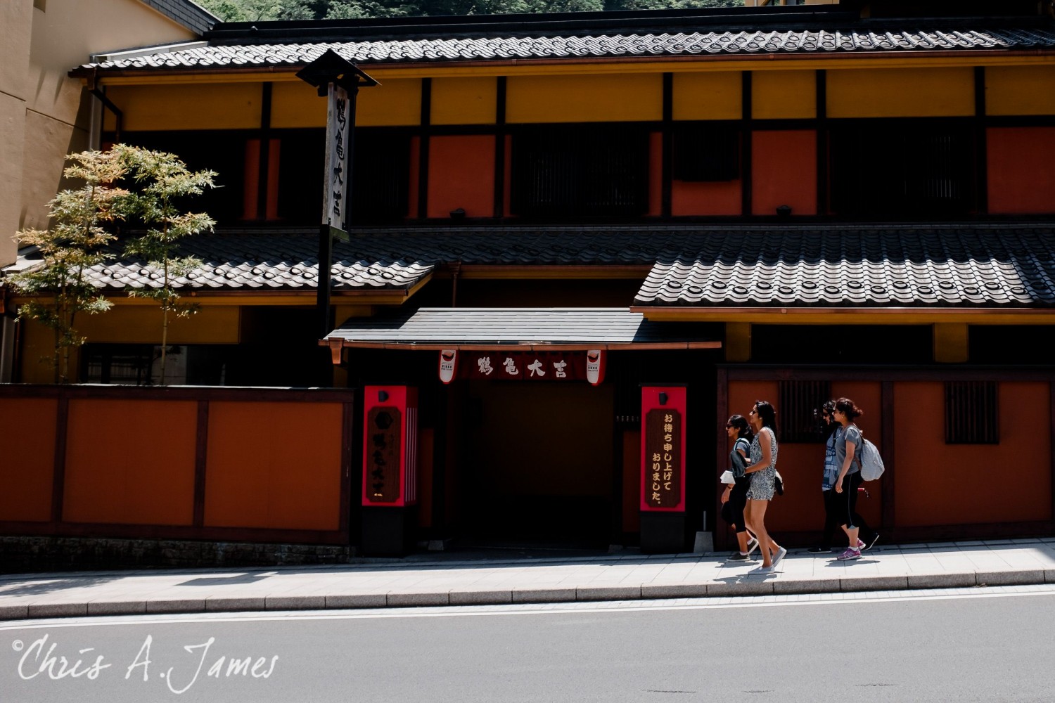 Nikko - Chris A James