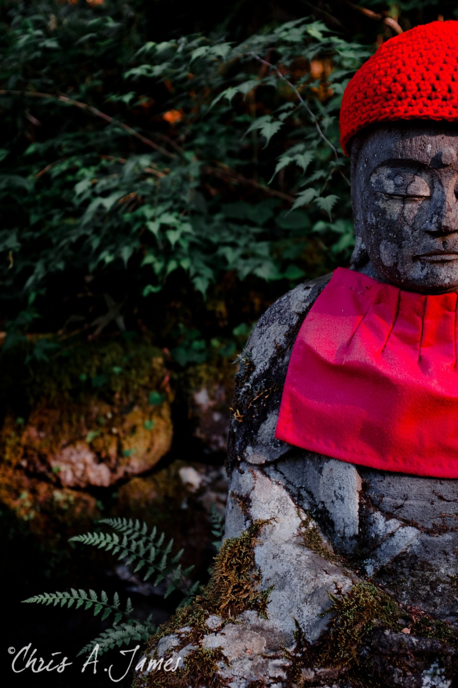 Nikko - Chris A James