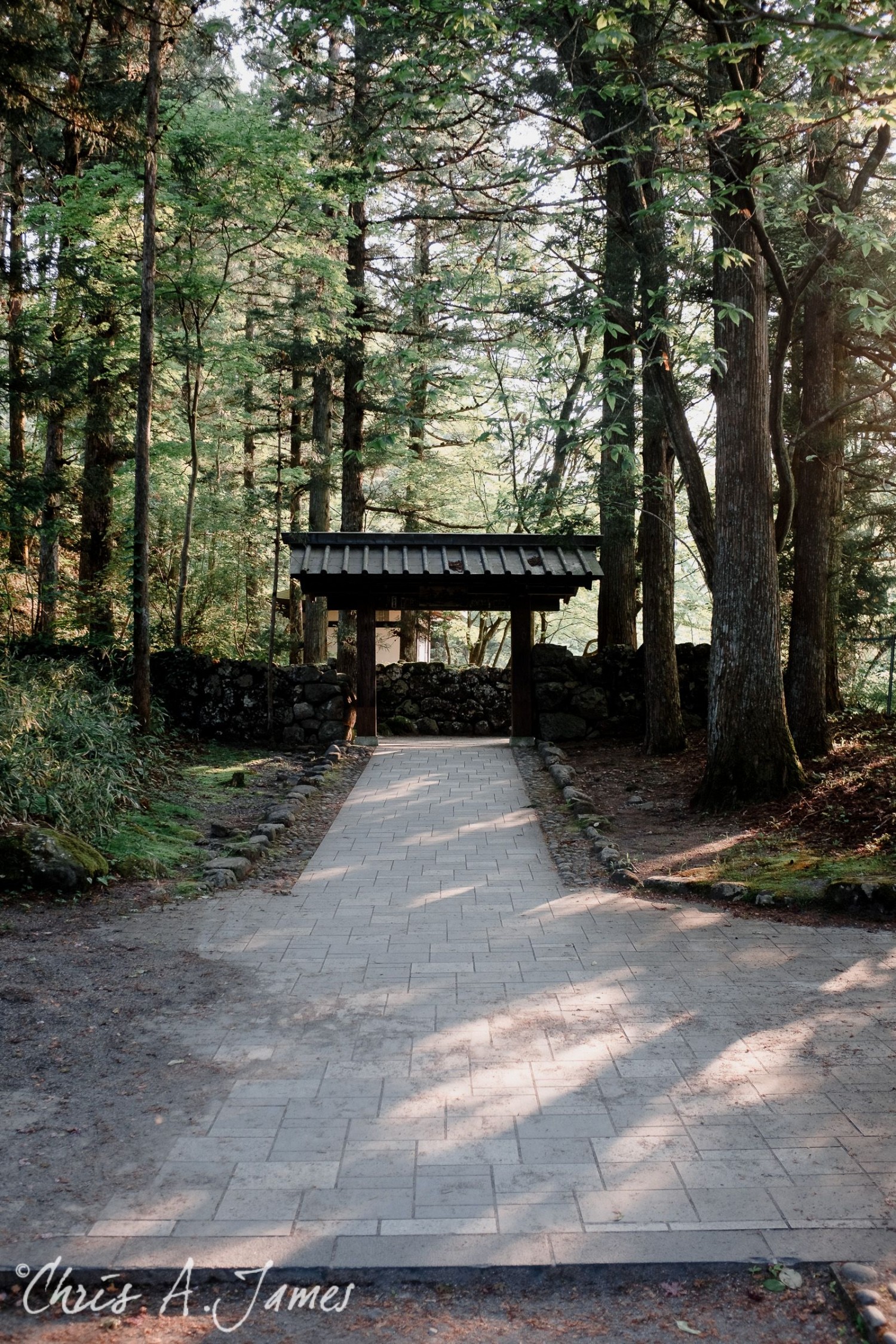 Nikko - Chris A James