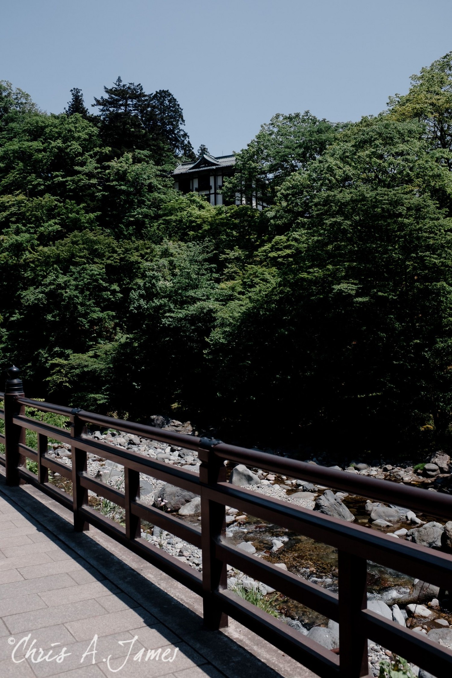 Nikko - Chris A James