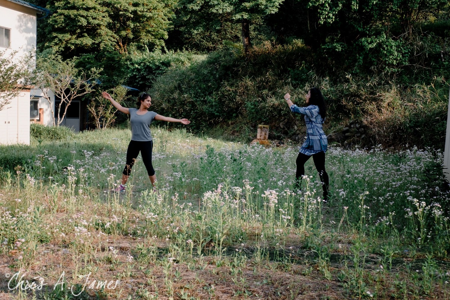 Nikko - Chris A James