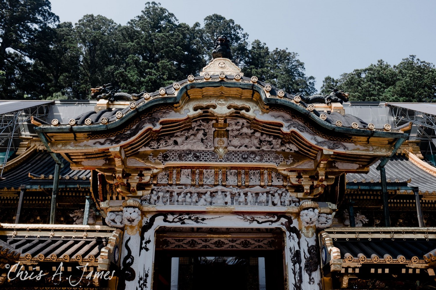 Nikko - Chris A James