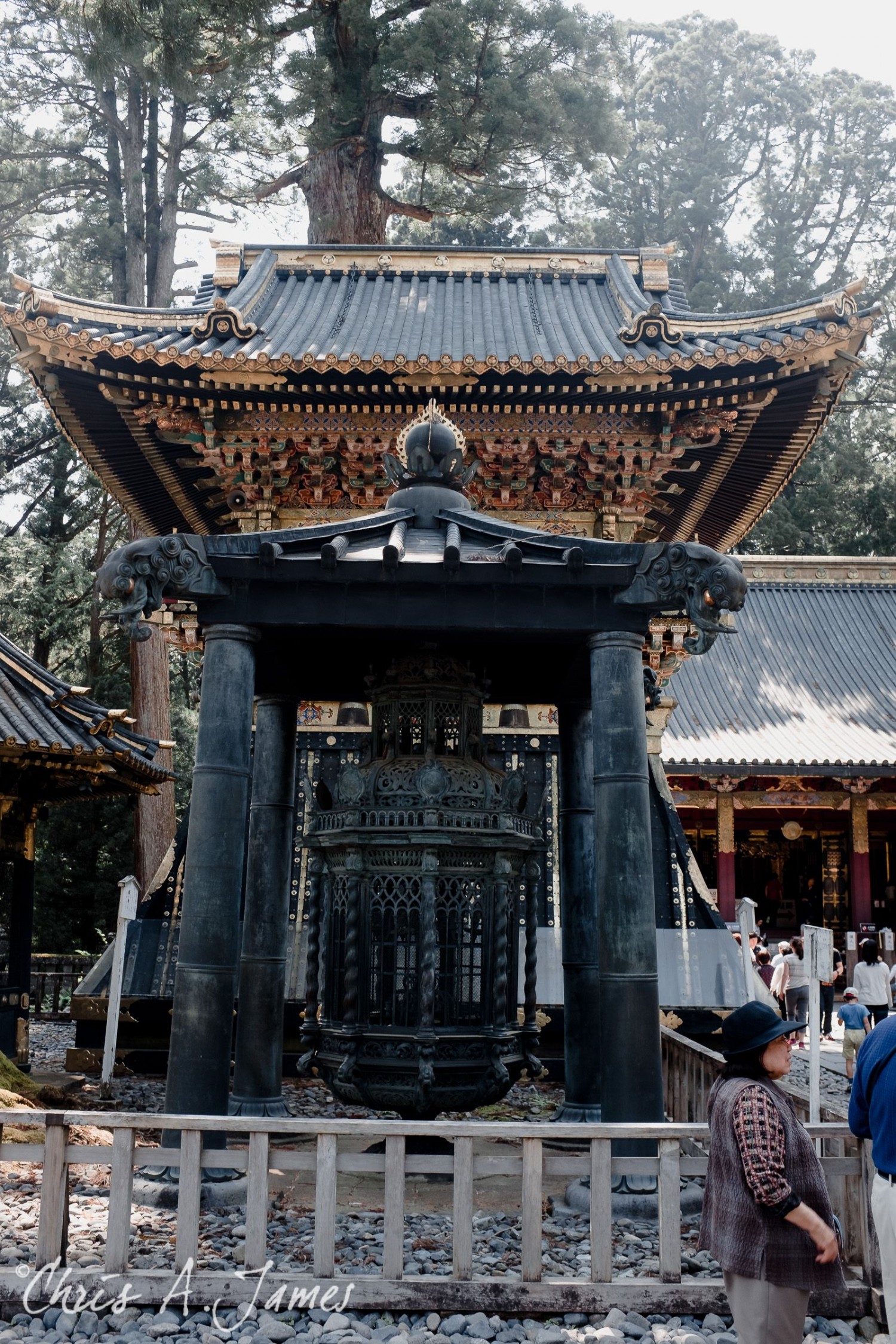 Nikko - Chris A James