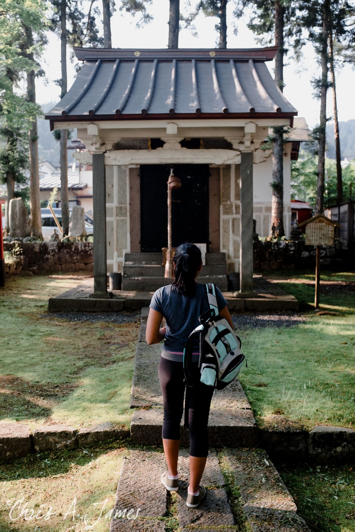 Nikko - Chris A James