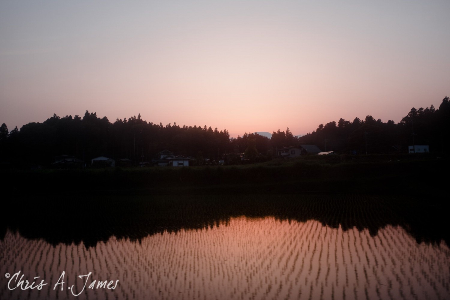 Nikko - Chris A James