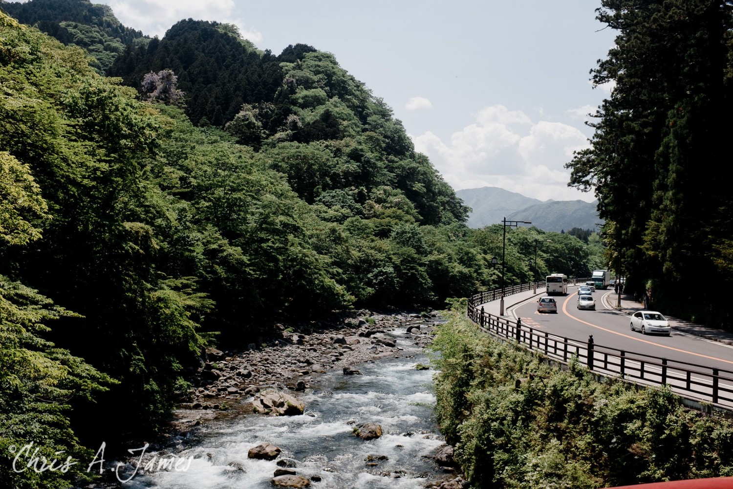 Nikko - Chris A James