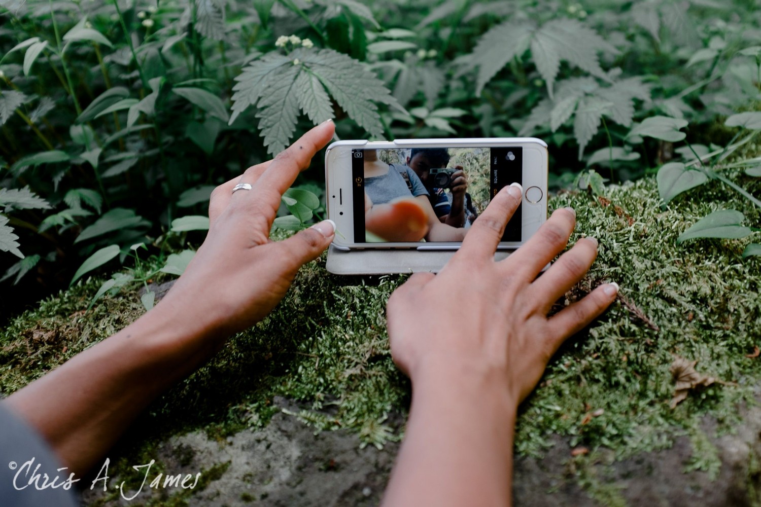 Nikko - Chris A James