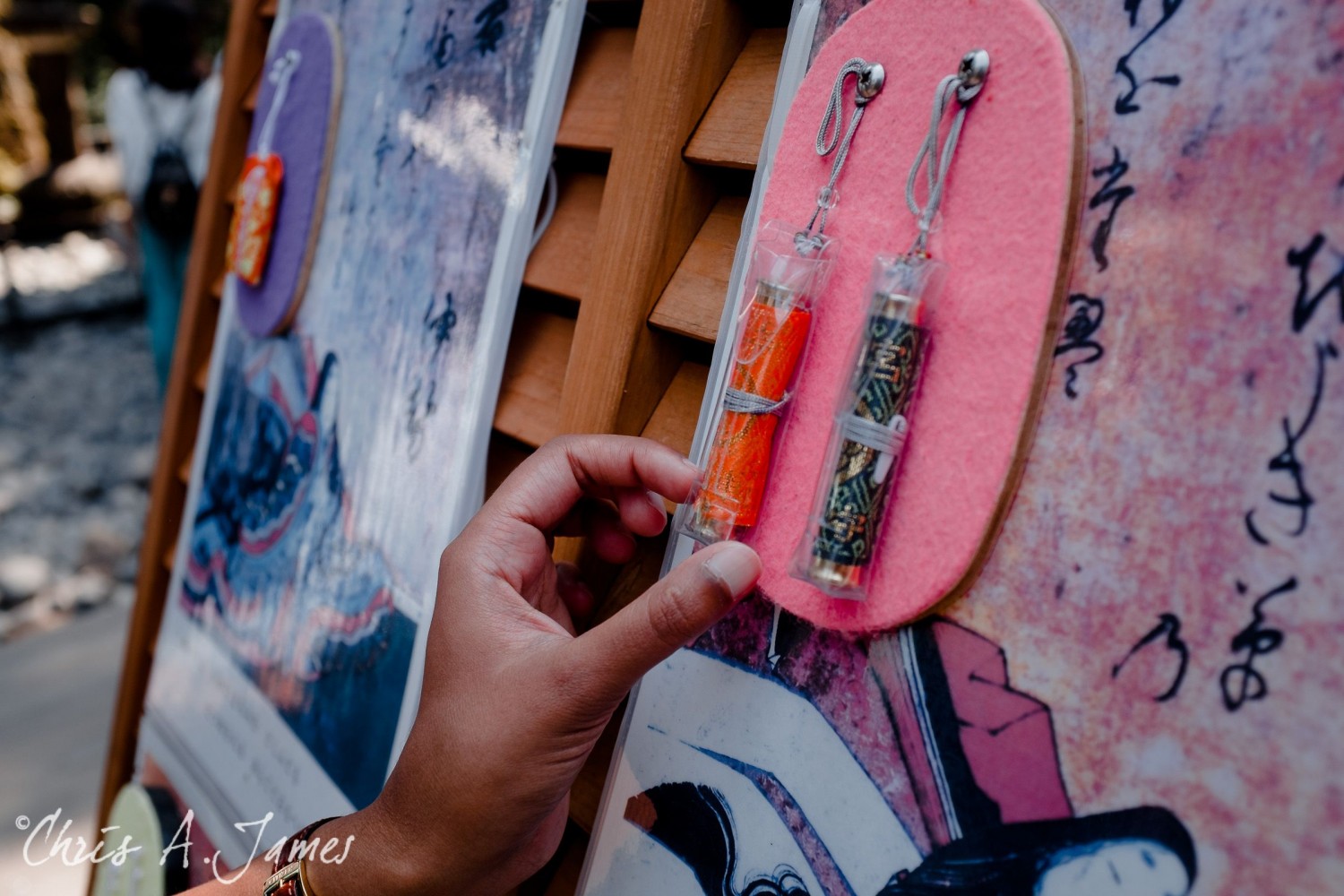 Nikko - Chris A James