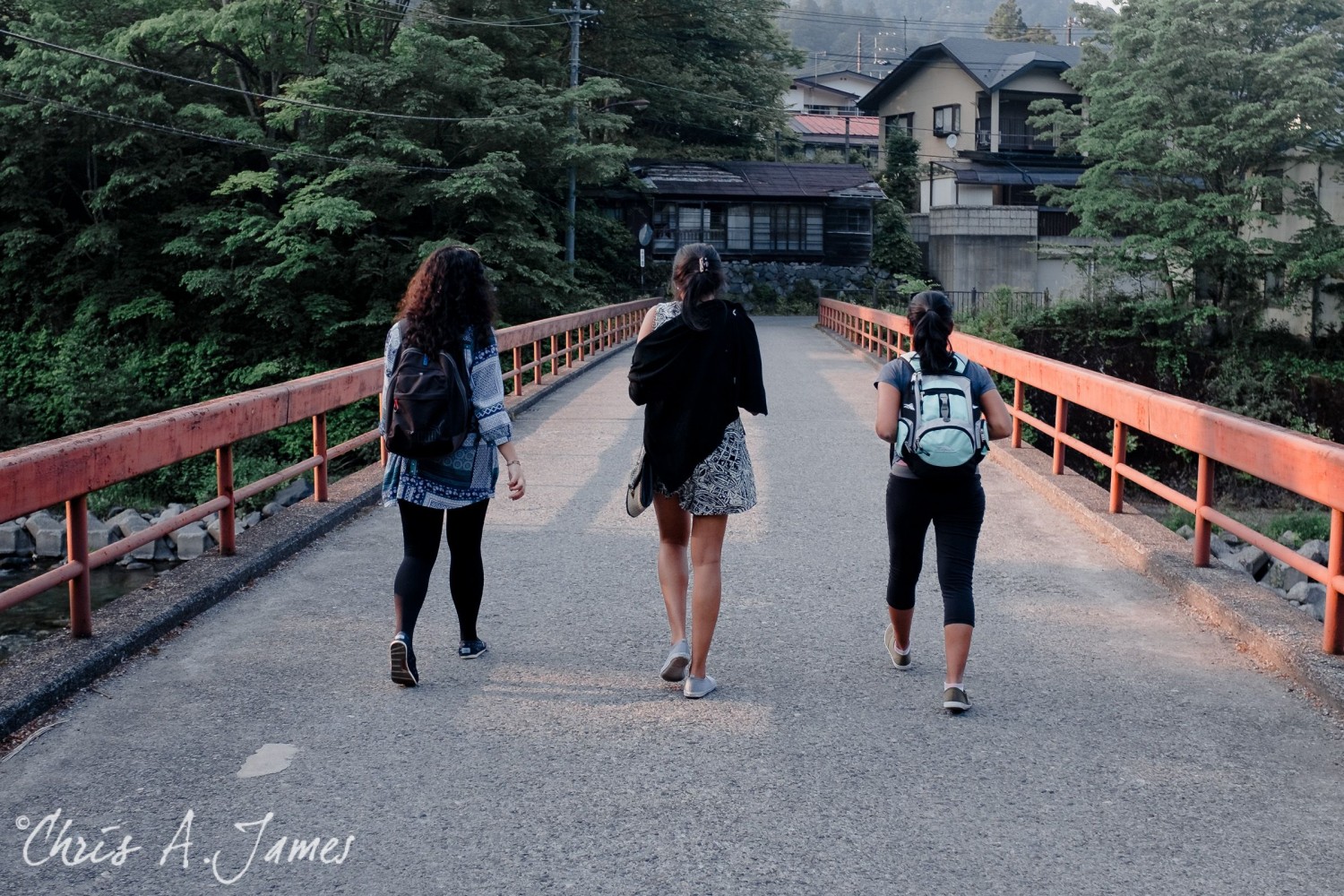 Nikko - Chris A James