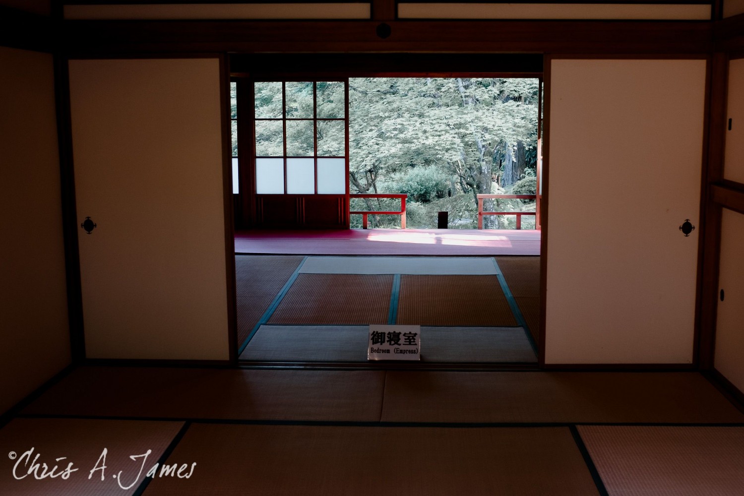 Nikko - Chris A James