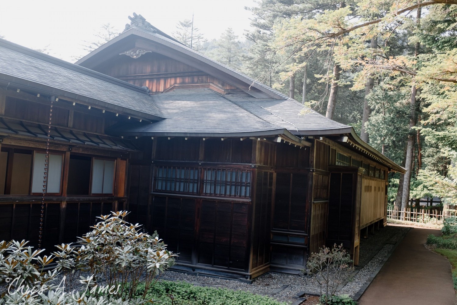 Nikko - Chris A James