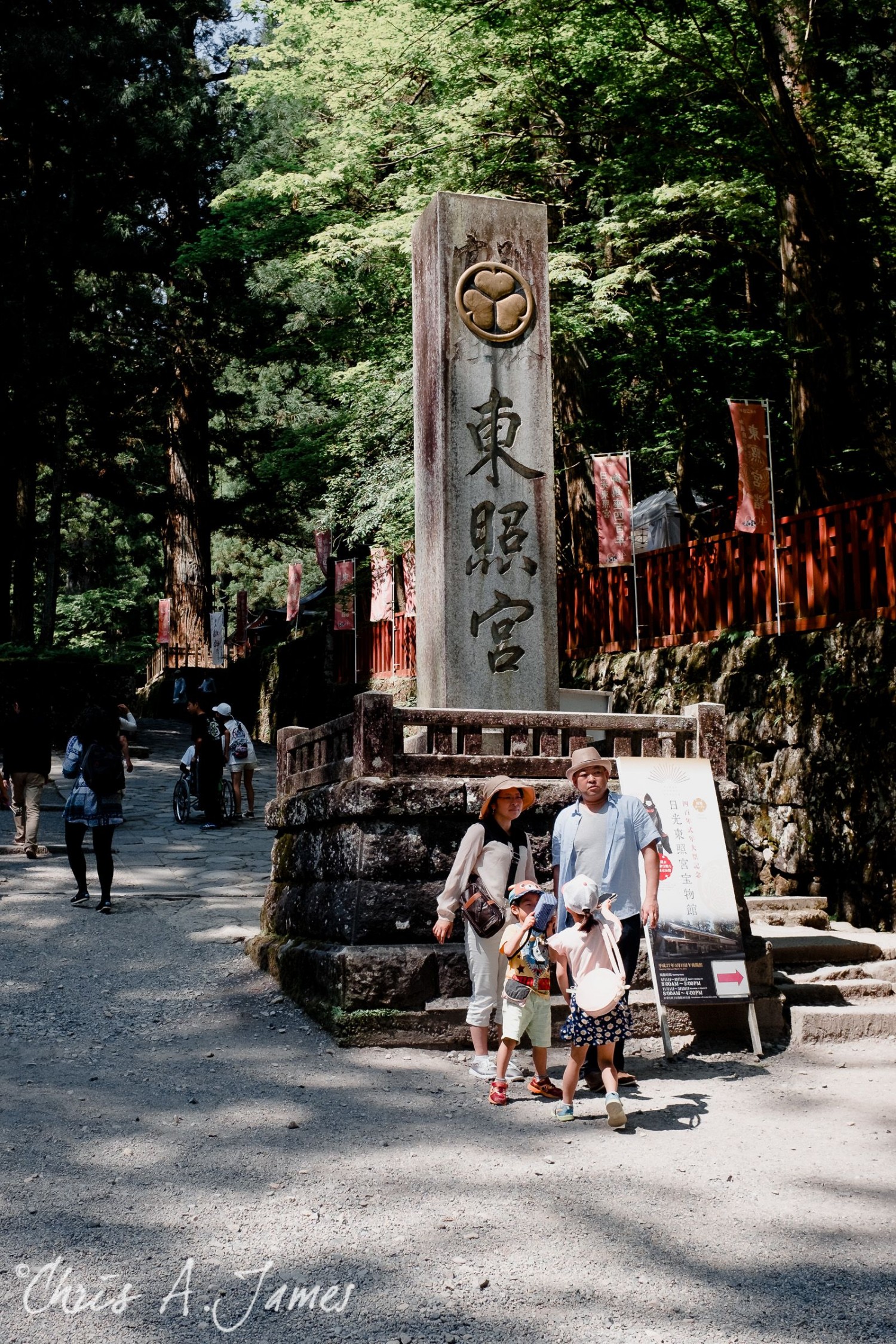 Nikko - Chris A James