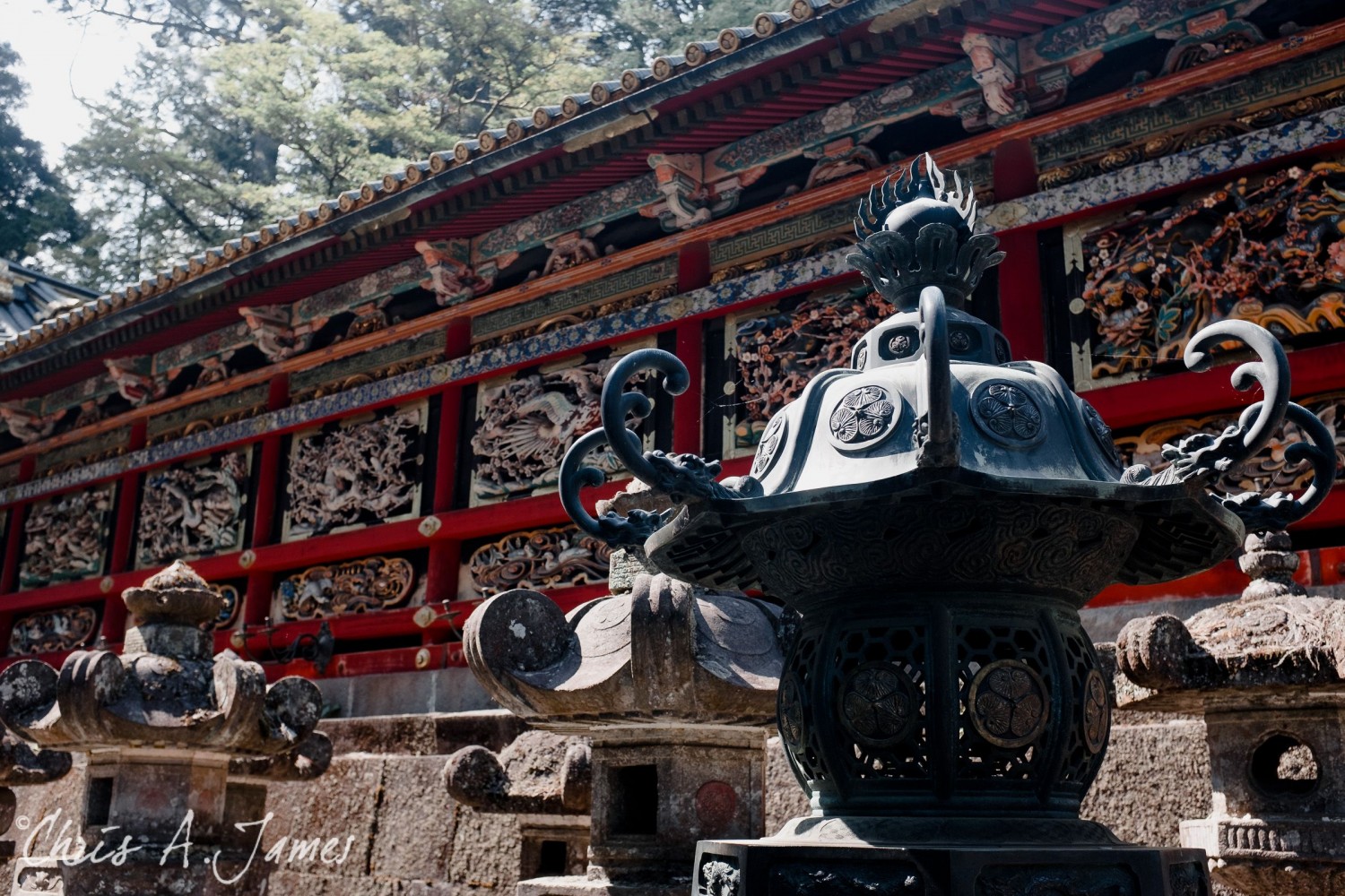 Nikko - Chris A James