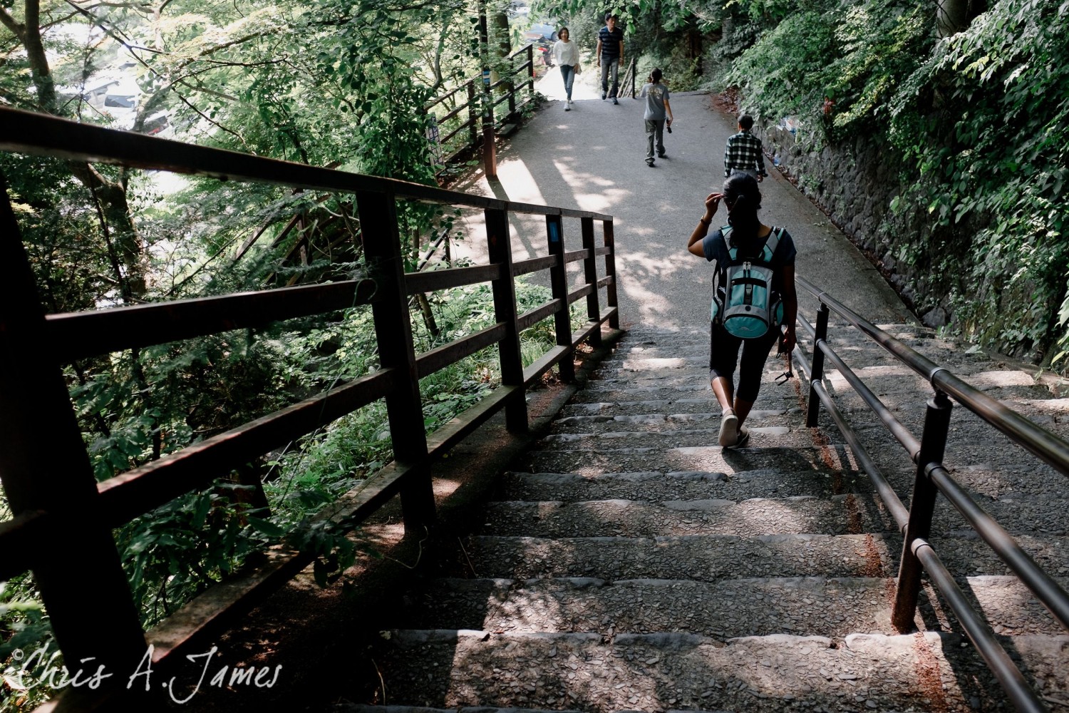 Nikko - Chris A James