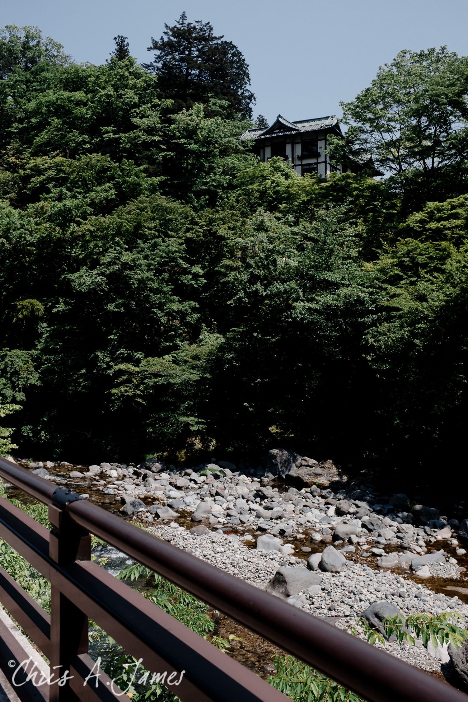 Nikko - Chris A James