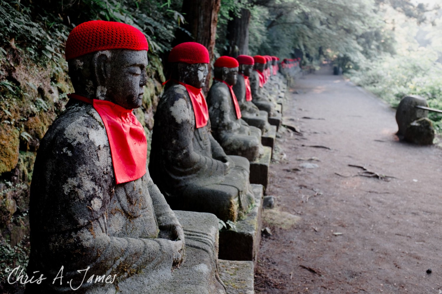 Nikko - Chris A James