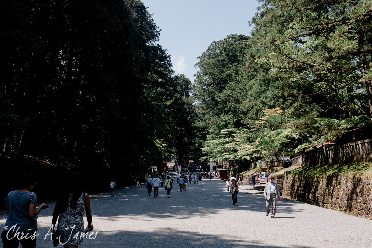 Nikko - Chris A James