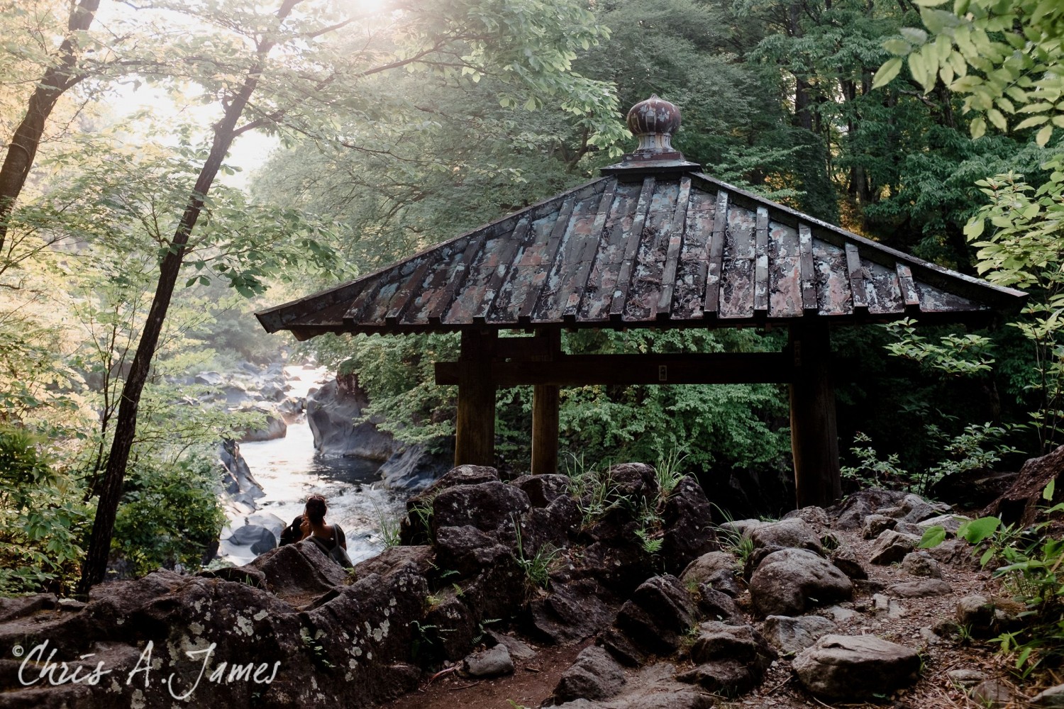 Nikko - Chris A James