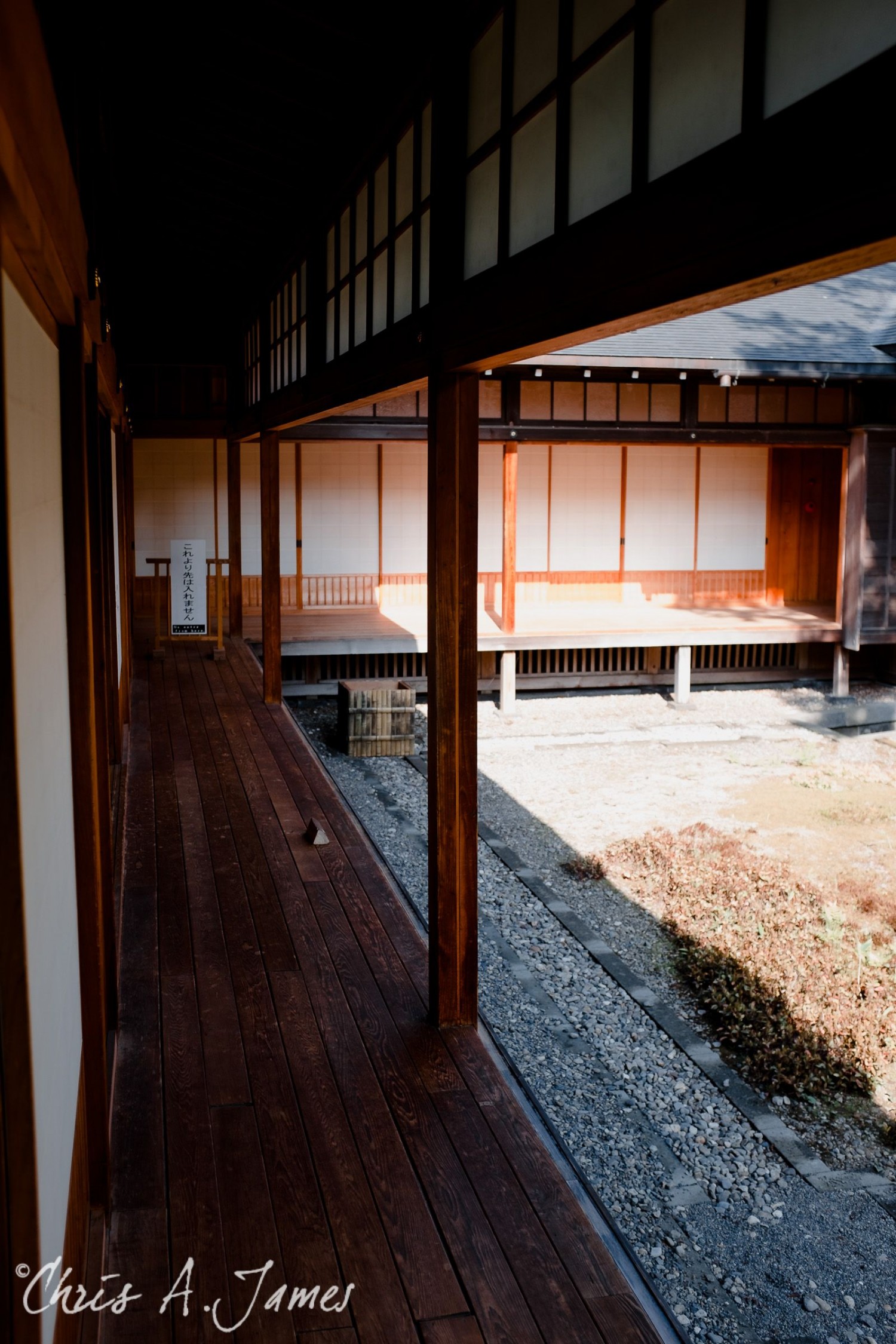 Nikko - Chris A James