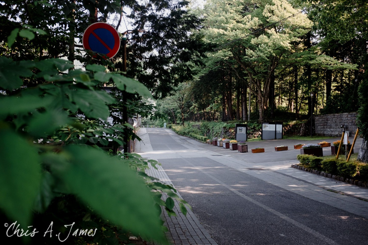 Nikko - Chris A James