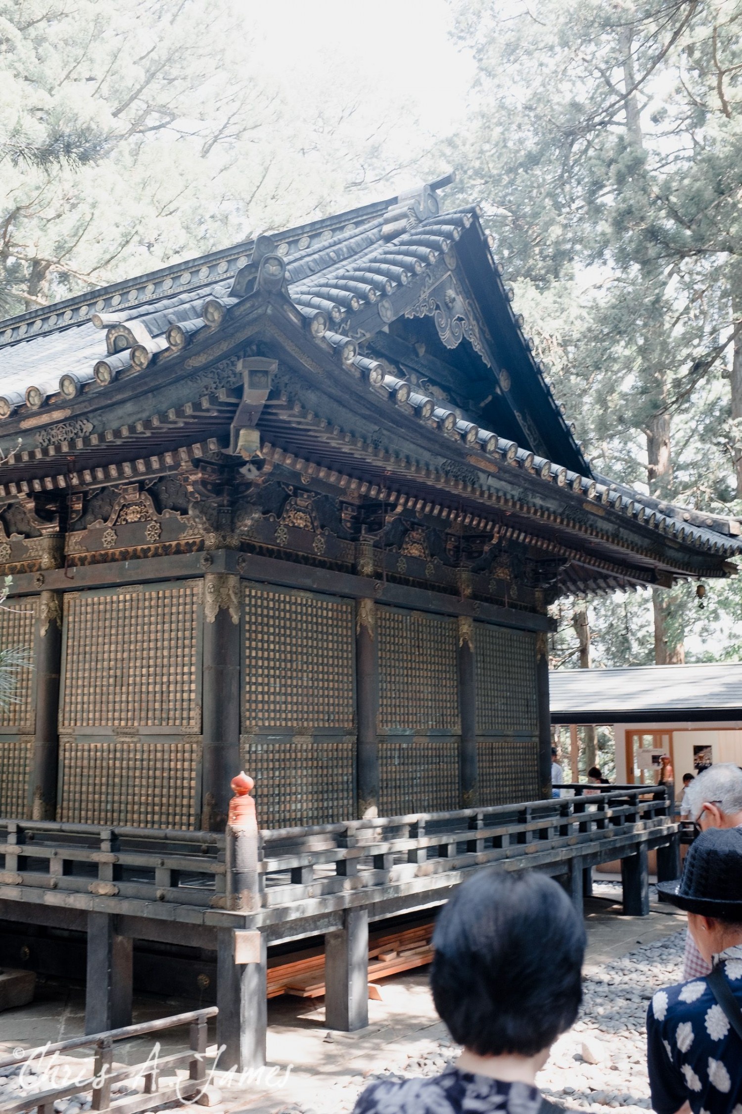 Nikko - Chris A James