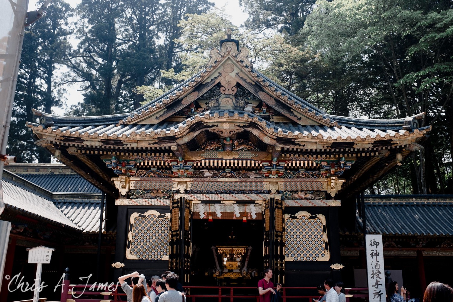 Nikko - Chris A James