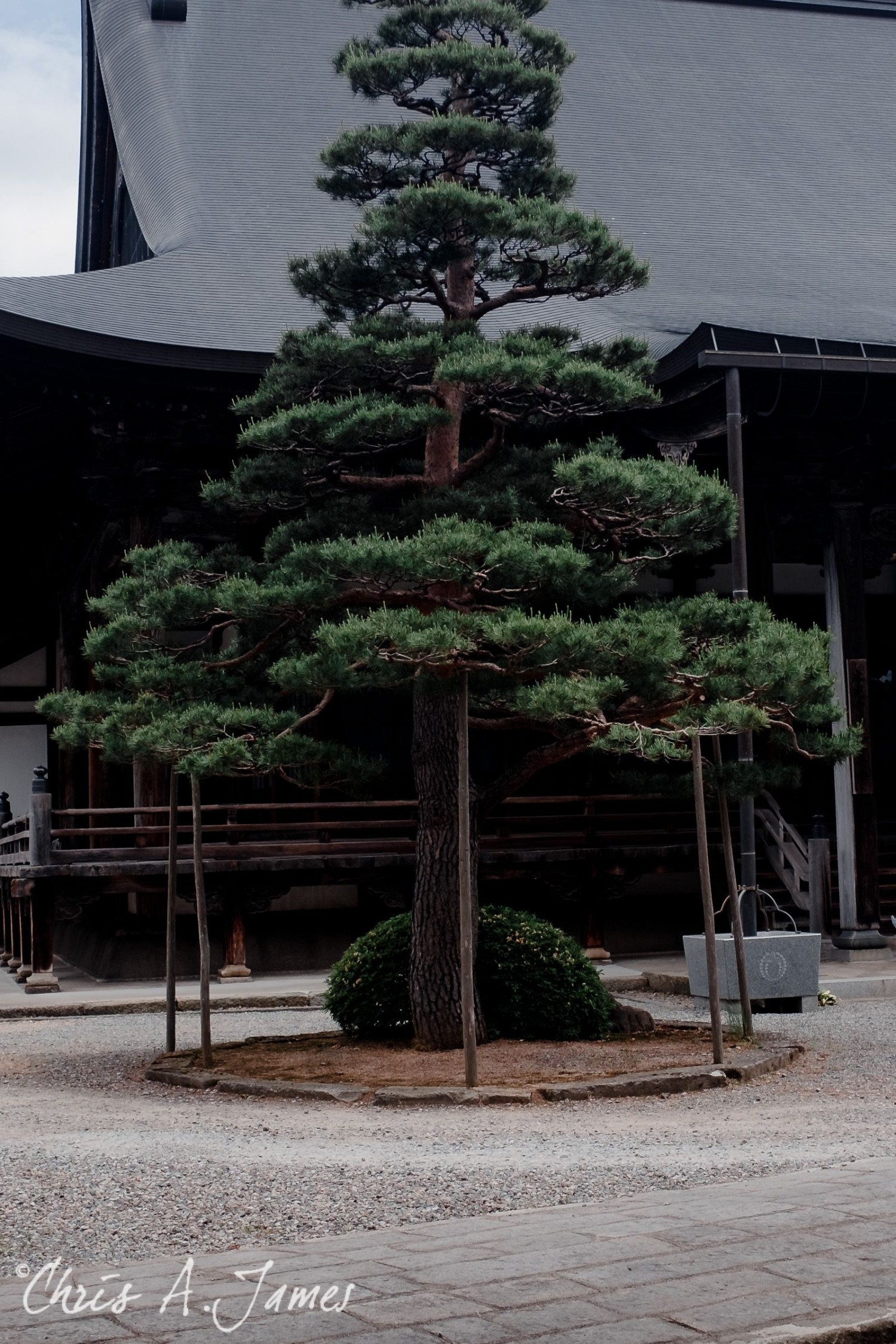 Takayama - Chris A James
