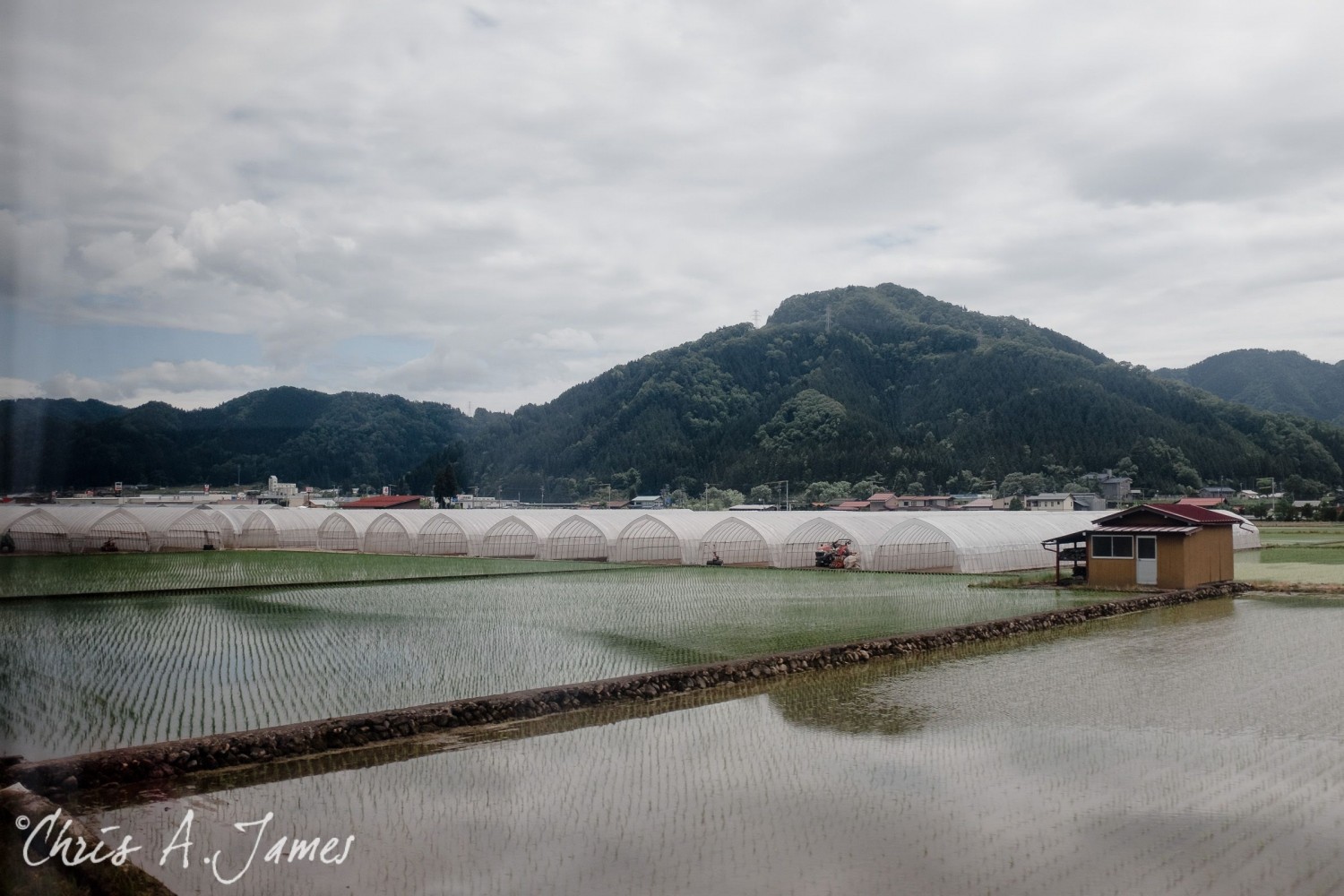 Takayama - Chris A James