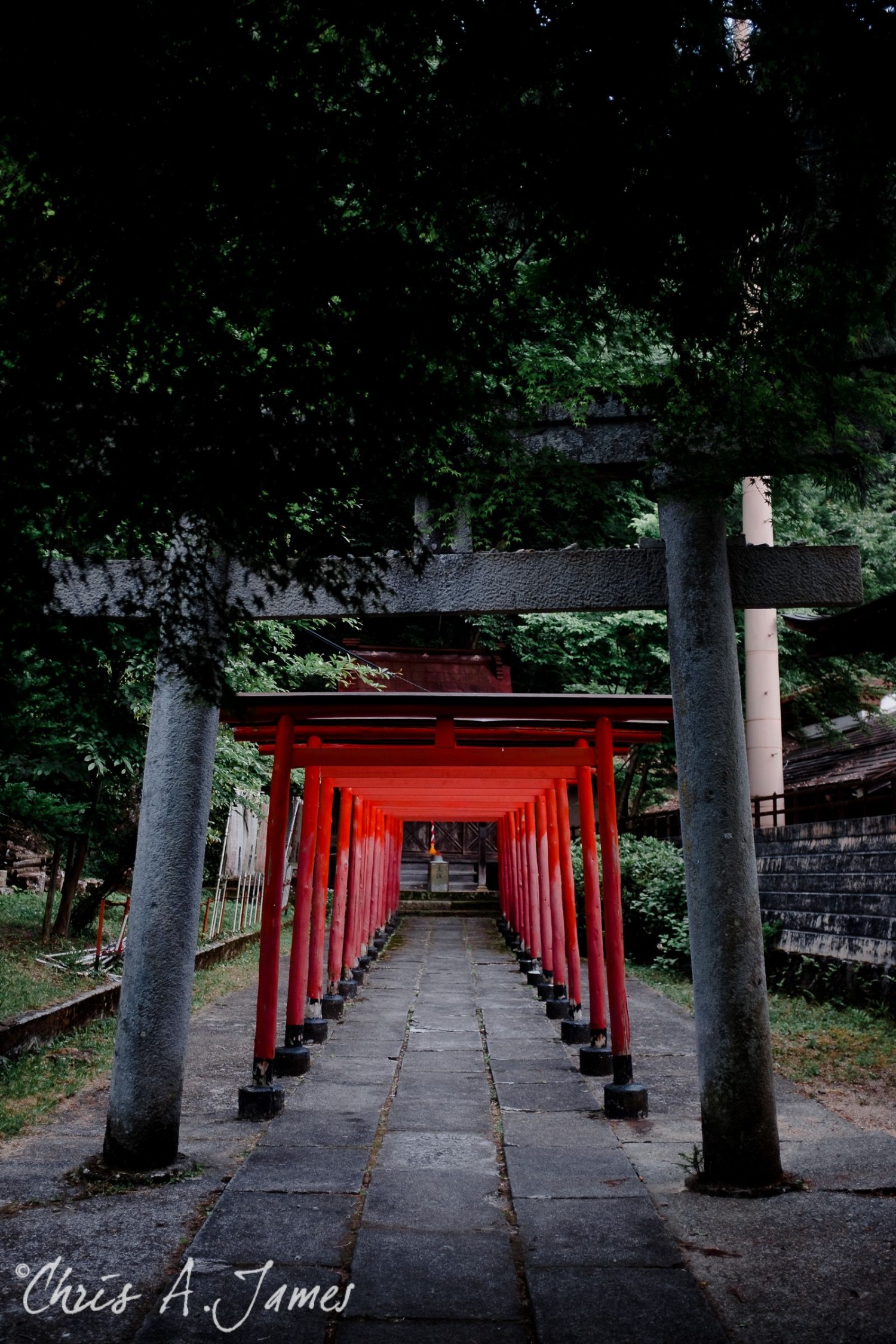 Takayama - Chris A James