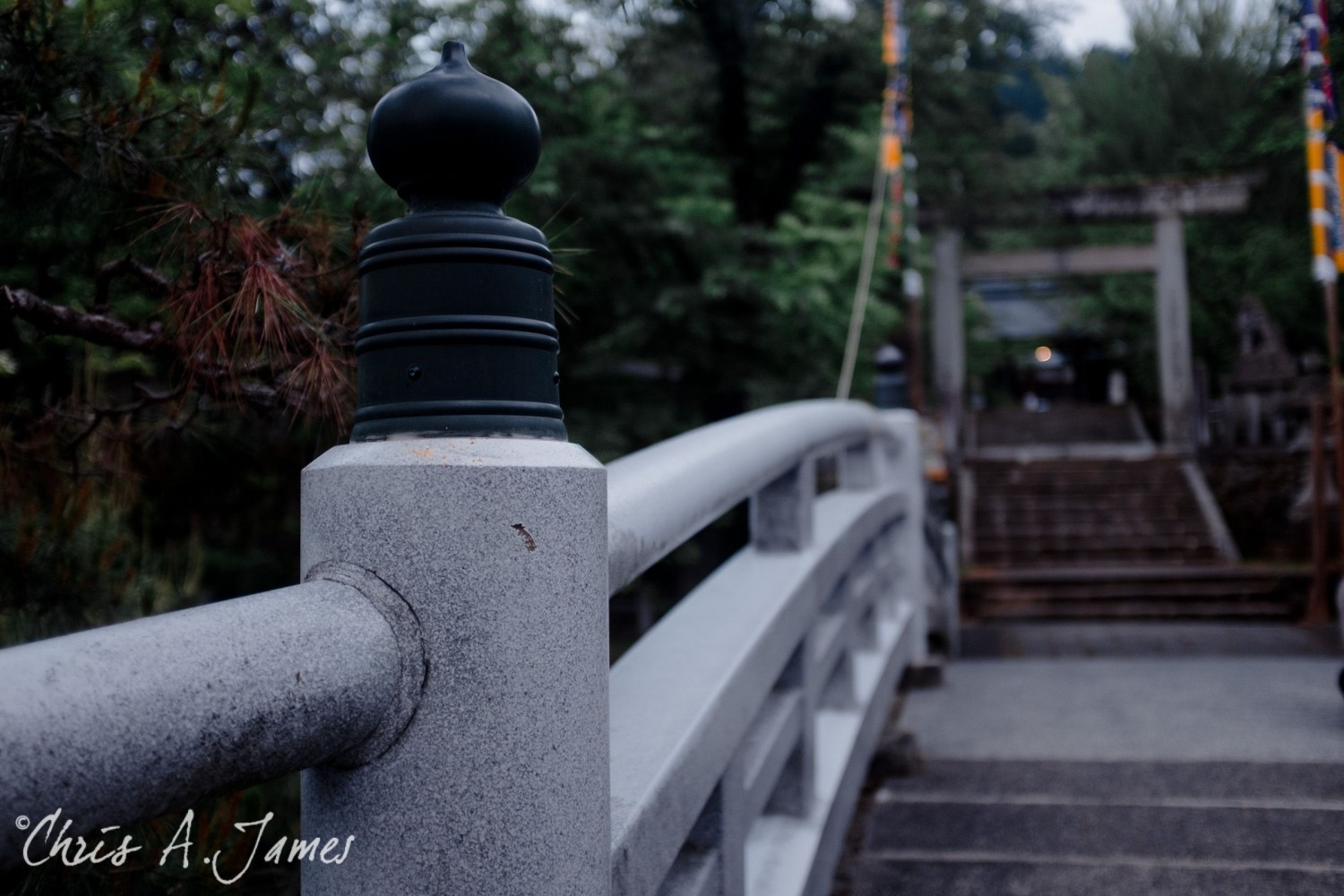 Takayama - Chris A James