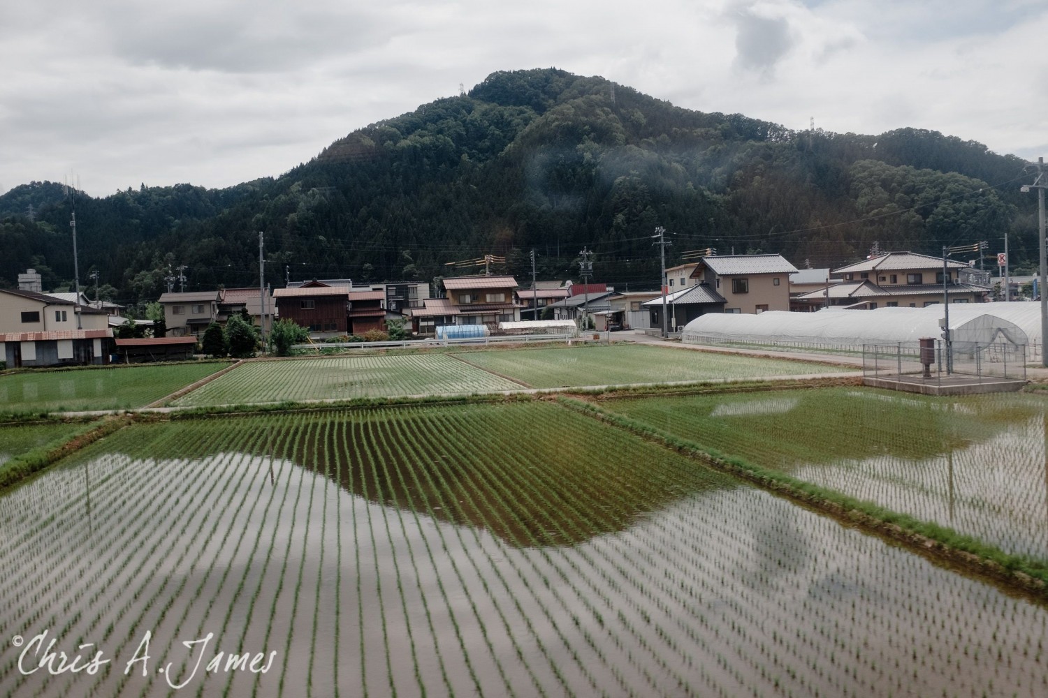 Takayama - Chris A James