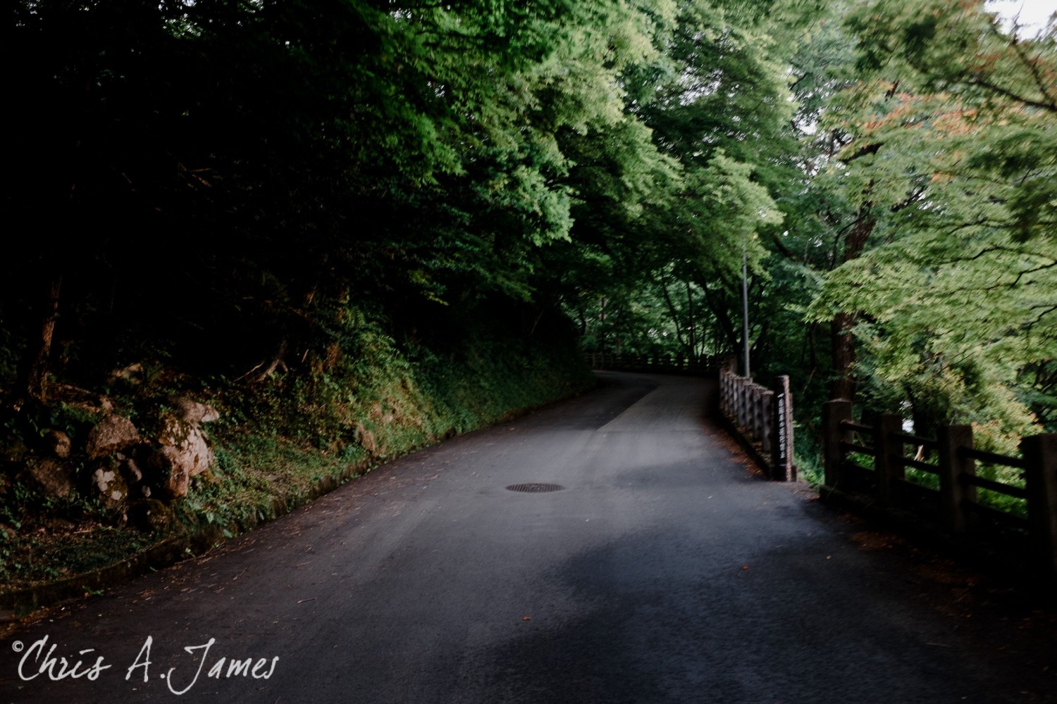 Takayama - Chris A James