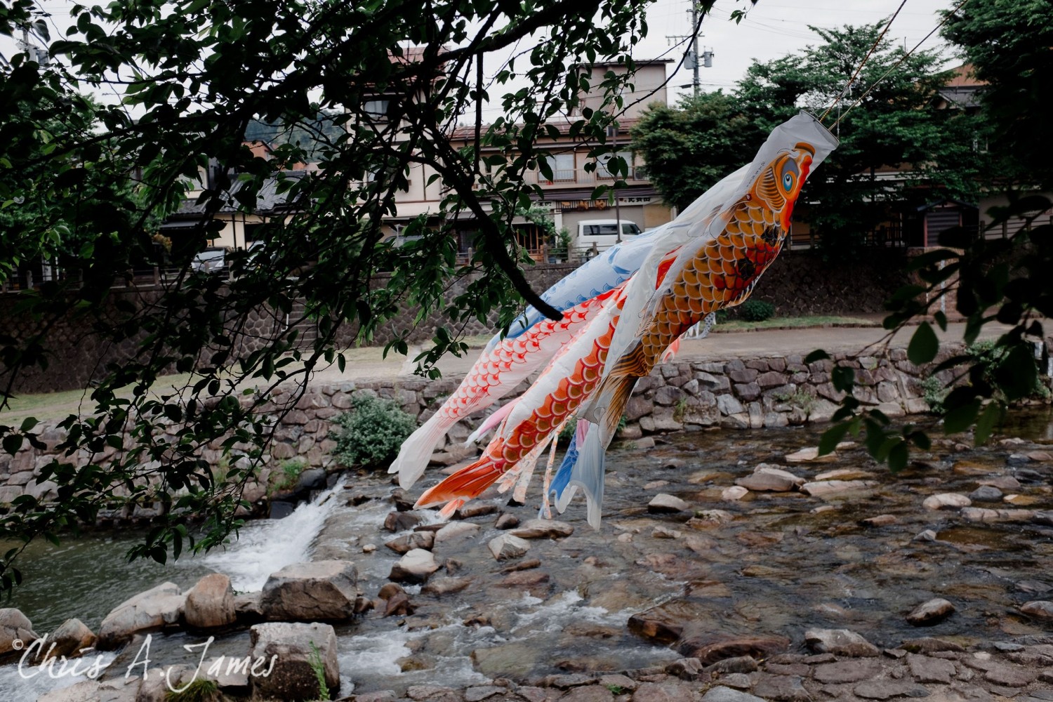 Takayama - Chris A James