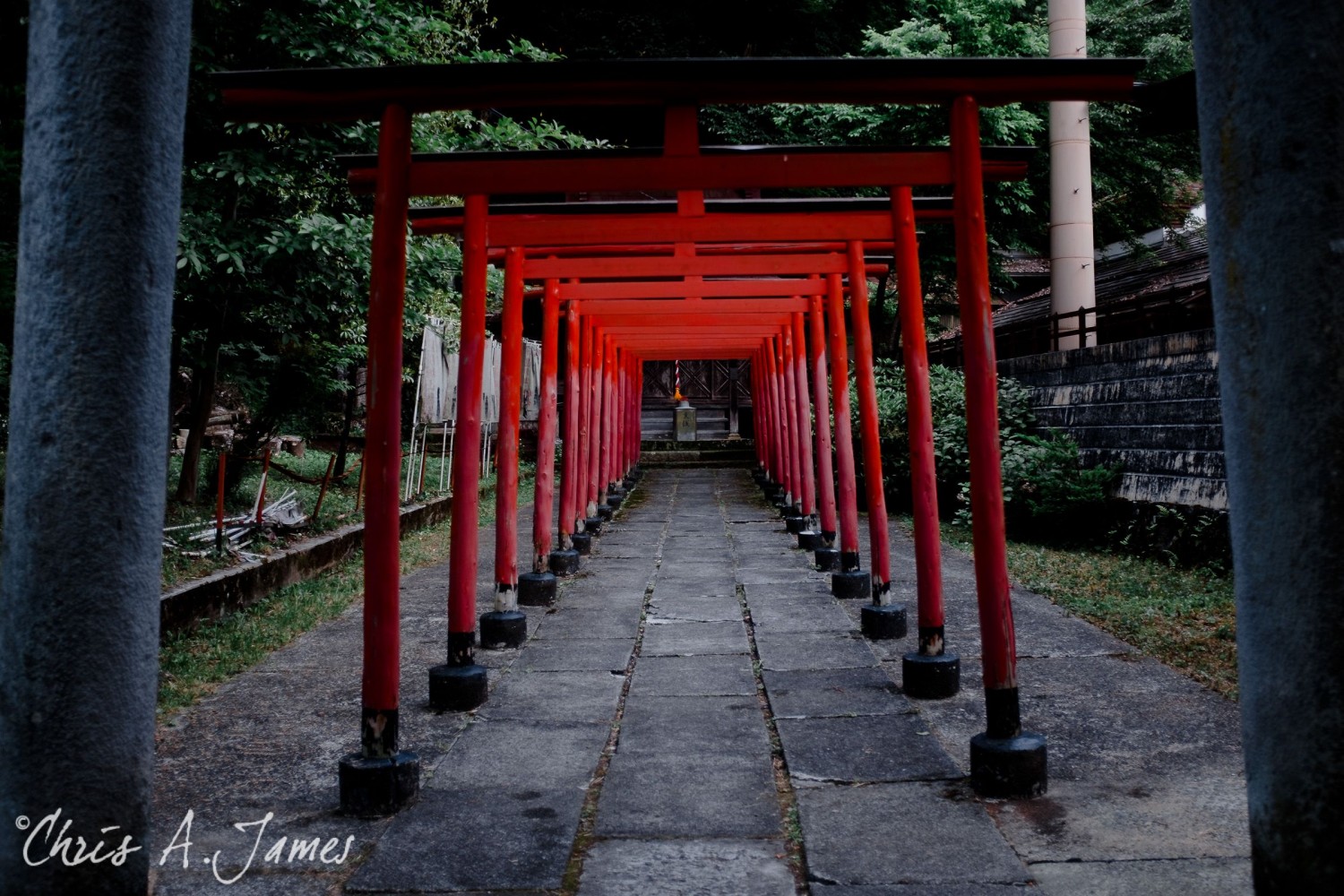 Takayama - Chris A James