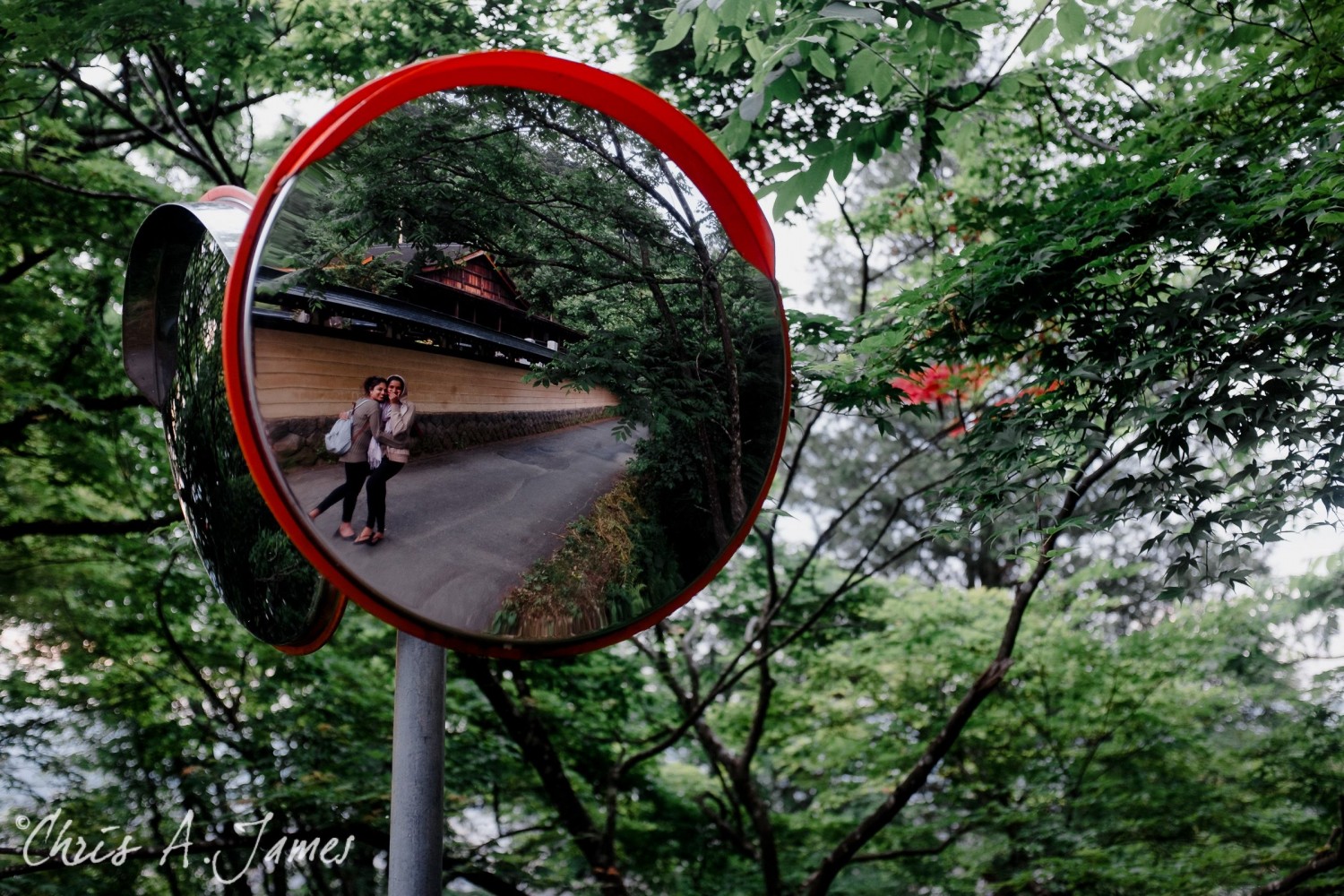 Takayama - Chris A James