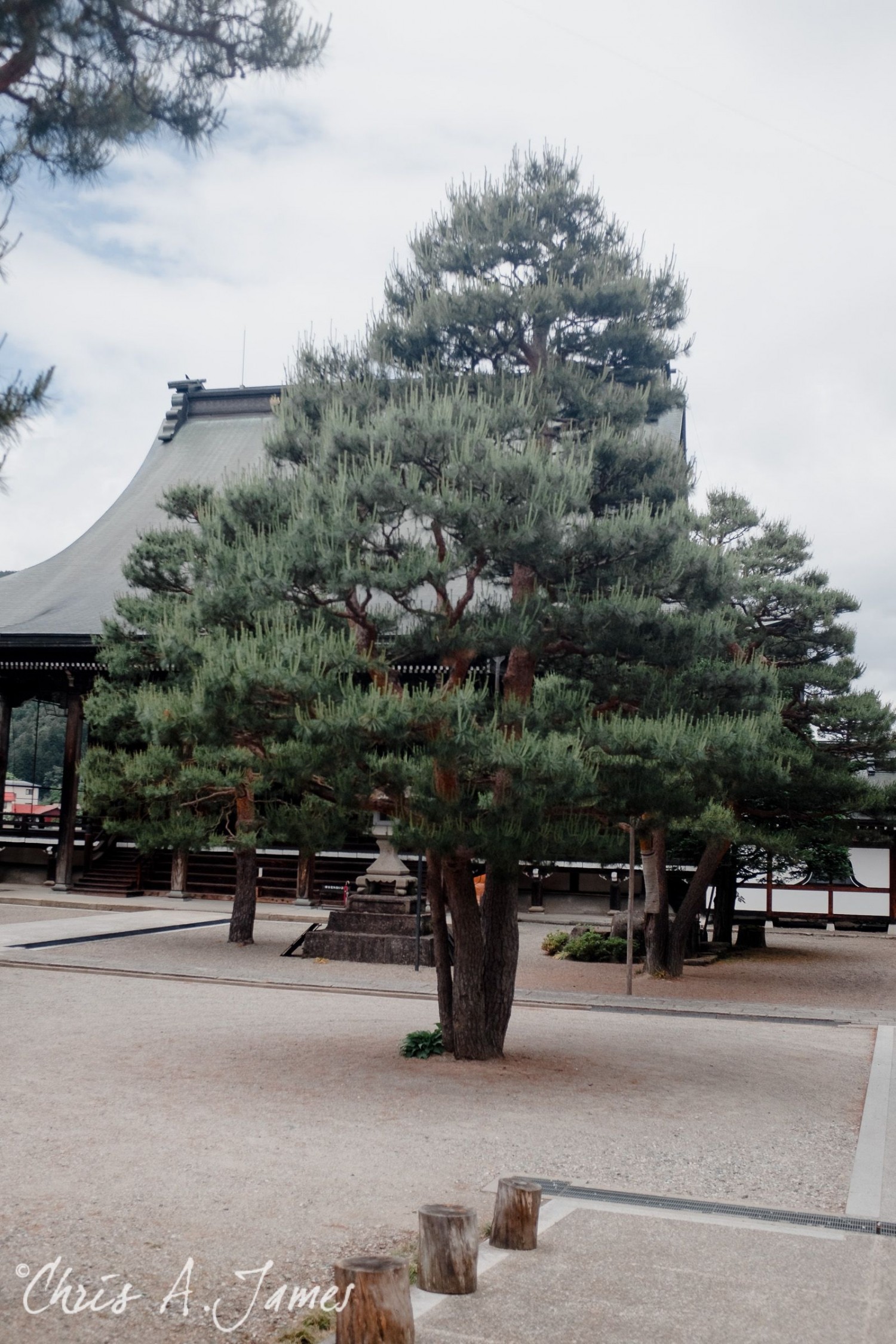 Takayama - Chris A James