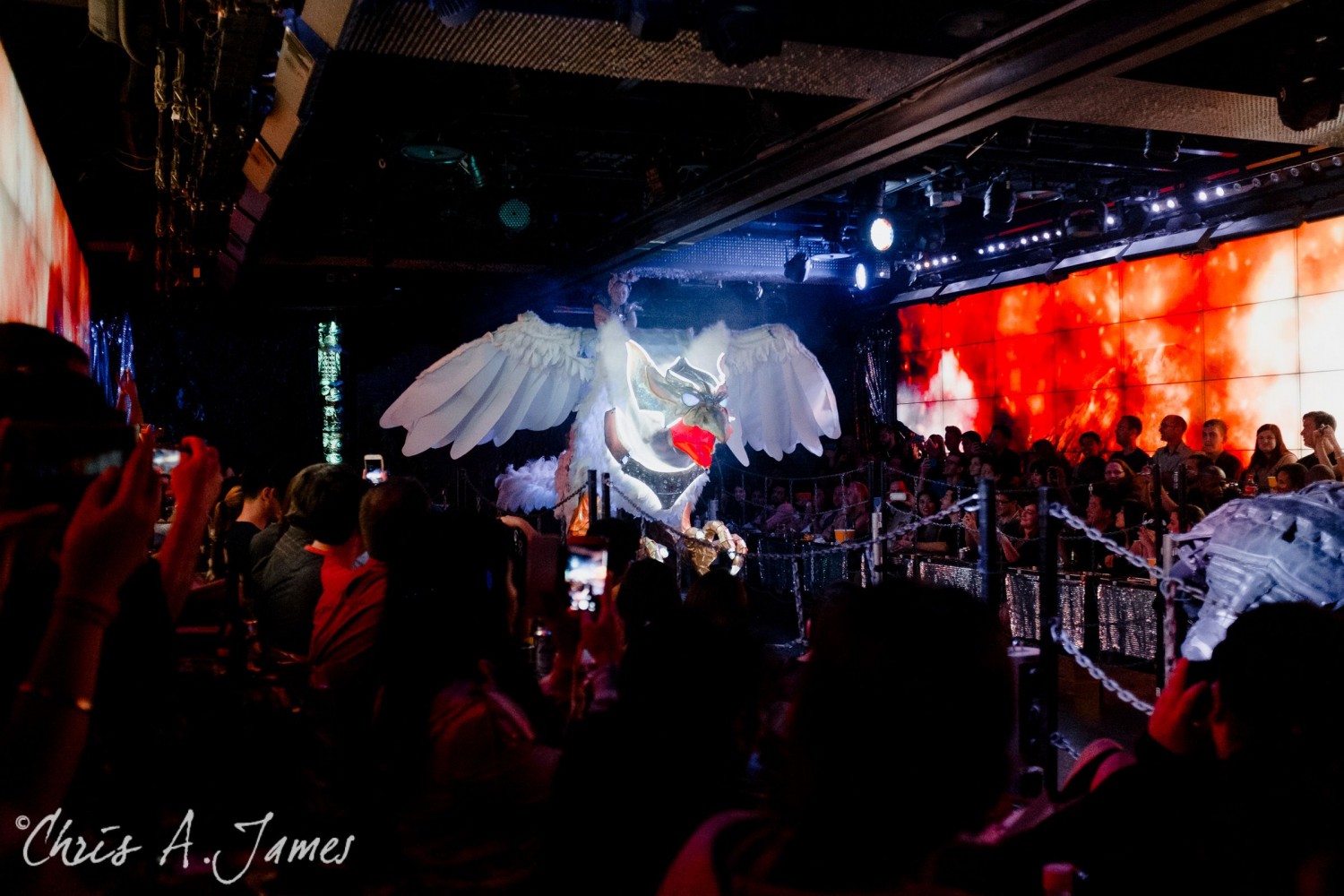 Tokyo - Day 1 - Chris A James