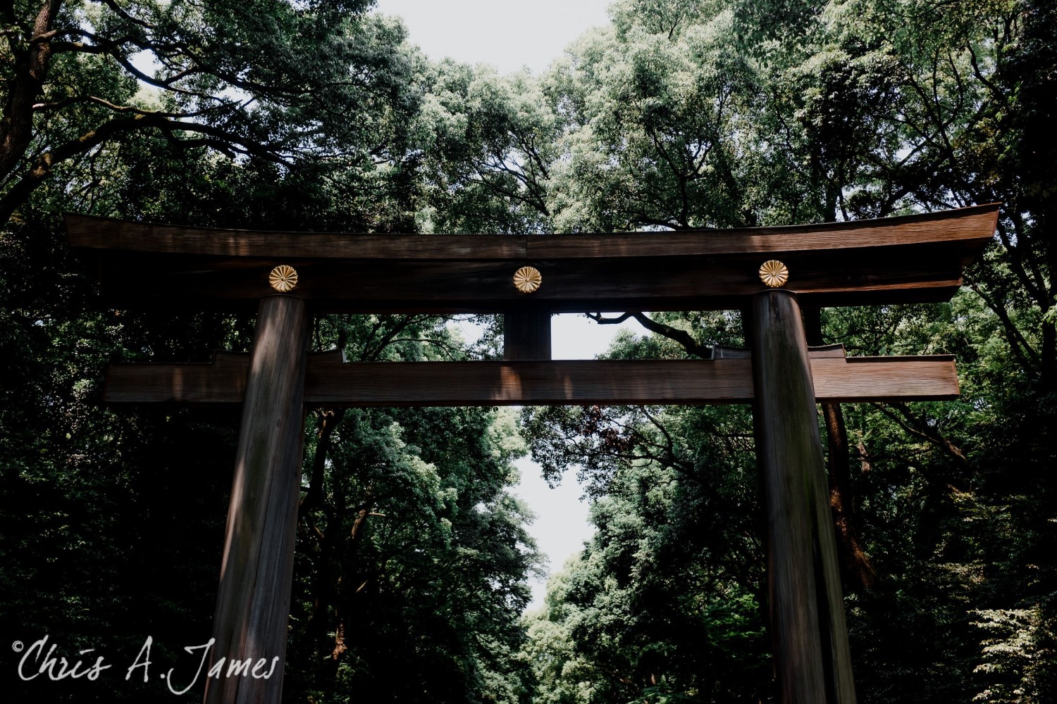 Tokyo - Day 1 - Chris A James