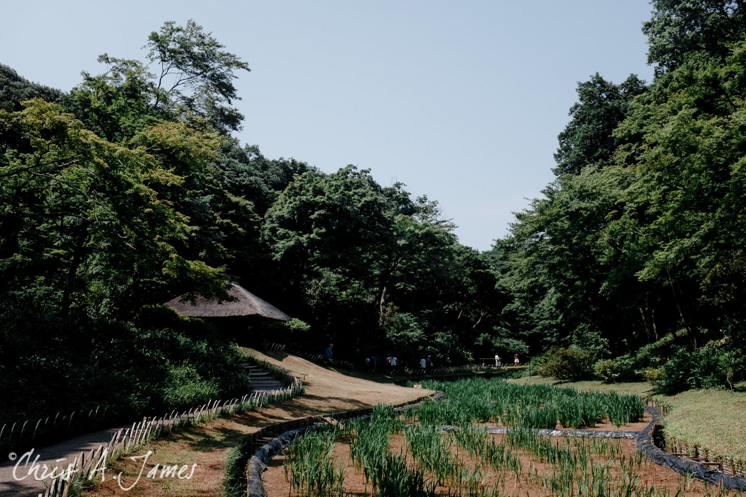 Tokyo - Day 1 - Chris A James