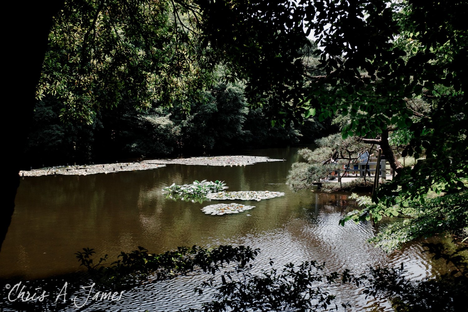 Tokyo - Day 1 - Chris A James