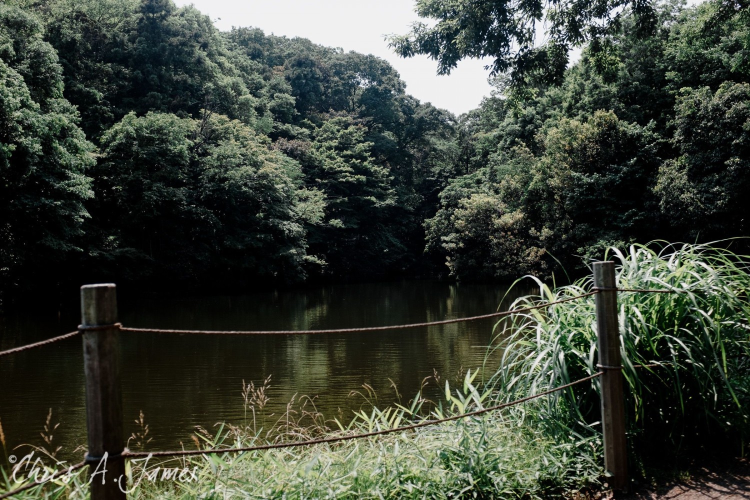 Tokyo - Day 1 - Chris A James