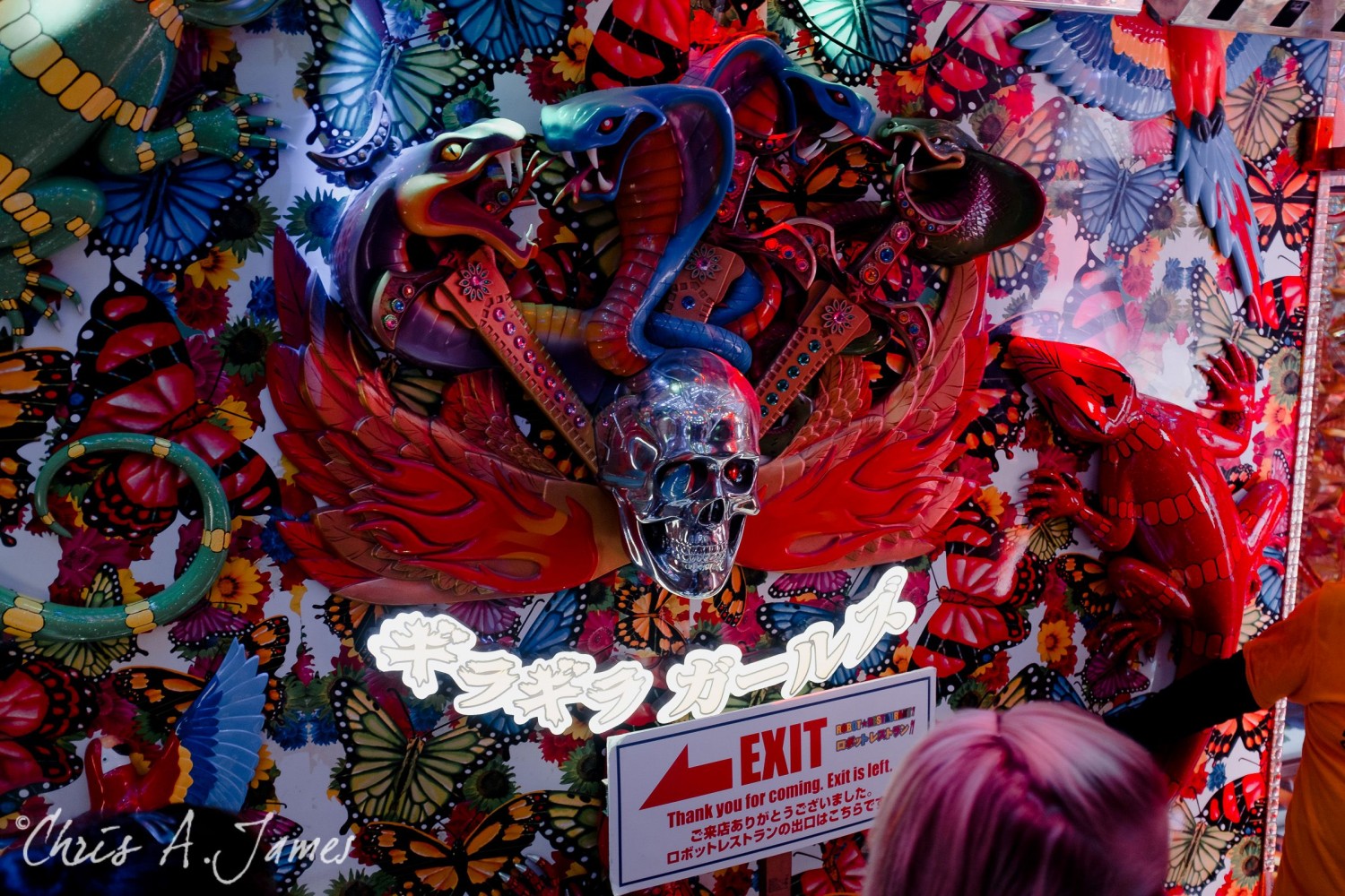 Tokyo - Day 1 - Chris A James