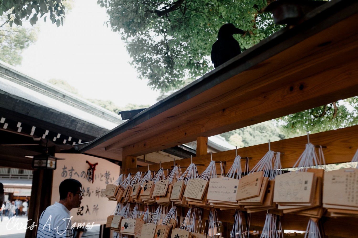 Tokyo - Day 1 - Chris A James